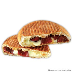 Panini